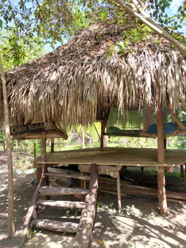 a hut with a thatched roof and a ladder at Eco-Camping Mango Feliz Rincón del Mar in San Onofre