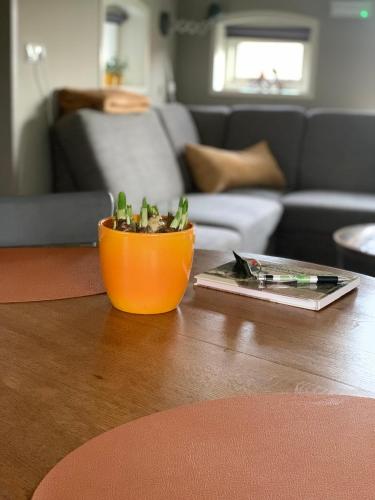 an orange bowl sitting on top of a wooden table at Vakantiehuis Bed en Breakfast in de Tuin in Beilen
