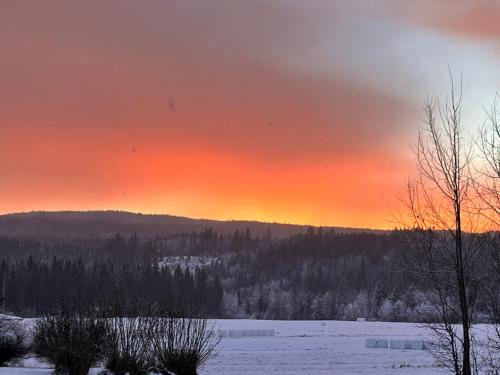 a sunset over a snow covered field with trees at Gård Mörbacka Bed & Breakfast in Mörbacka
