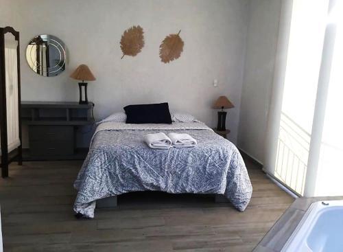 Suites Atlixco – Photos 2