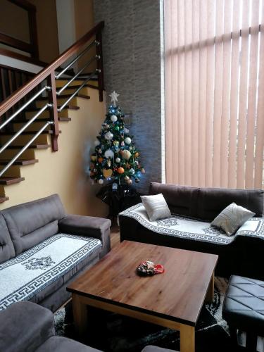 Ruang duduk di Karbula Apartments & Villa