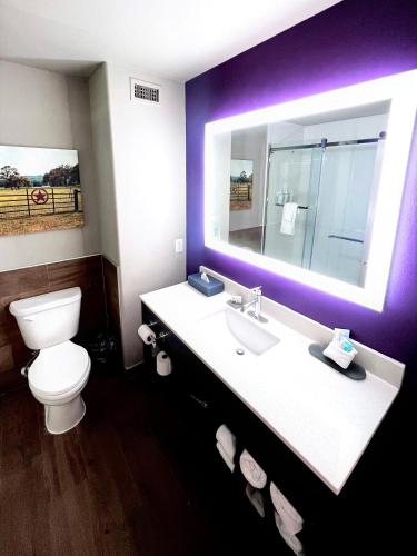 Koupelna v ubytování La Quinta by Wyndham Pharr North McAllen