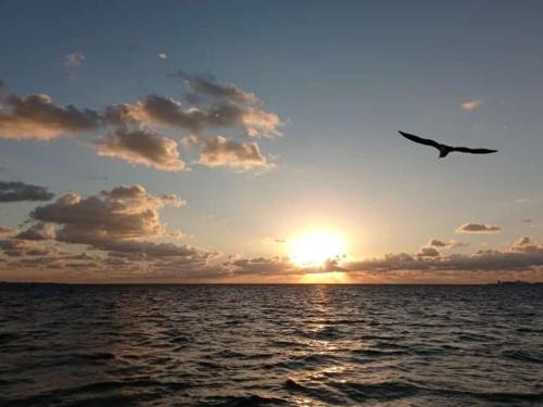 Corazón del Pescador – Photos 2