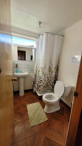 ein Bad mit einem WC und einem Waschbecken in der Unterkunft Cabaña Kurrüf - Los Arrayanes de San Juan in Quellón