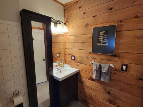 uma casa de banho com um lavatório e uma parede de madeira em Rochester Kodak Themed 2 Bedroom Apt With Parking em Rochester