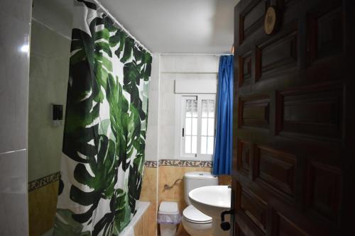 a bathroom with a toilet and a shower curtain at La Rocalla del Tiétar in Sotillo de la Adrada