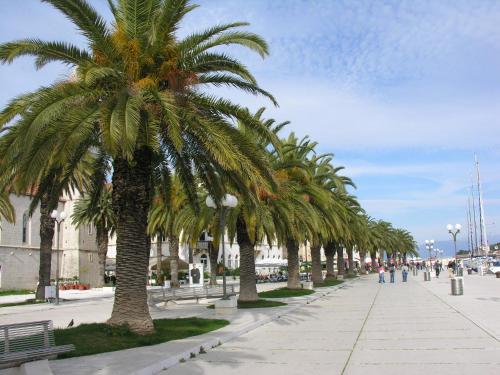 eine Reihe von Palmen auf einem Bürgersteig in der Unterkunft Apartments Jelica in Trogir