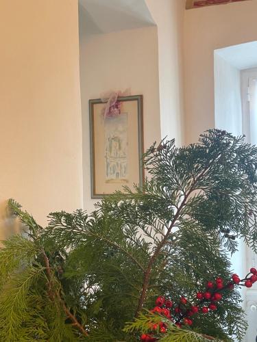 Fotografie z fotogalerie ubytování Casa Maria v destinaci Cervo