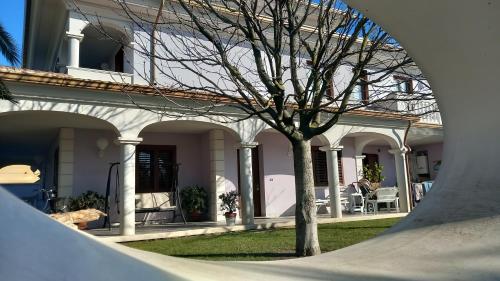 a white house with a tree in the yard at B&B Domus Aurea 20 in San Giovanni Teatino