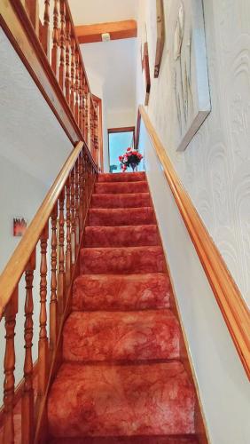 - un escalier dans une maison dotée d'une moquette orange dans l'établissement Rose Villa- Great For Long & Short Stays!!!, à Gillingham