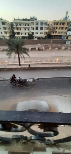 apartment in luxor – Photos 3
