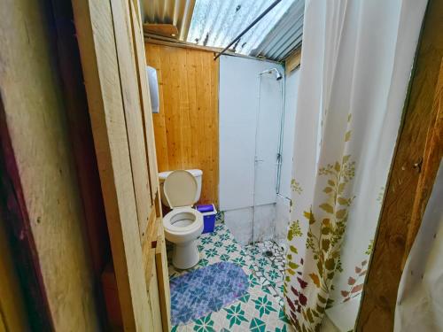 a small bathroom with a toilet and a shower at Hostal La Pijaraña in Salento