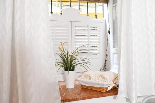 espejo en el baño con planta y ventana en Apartamento Descalzos en Sevilla