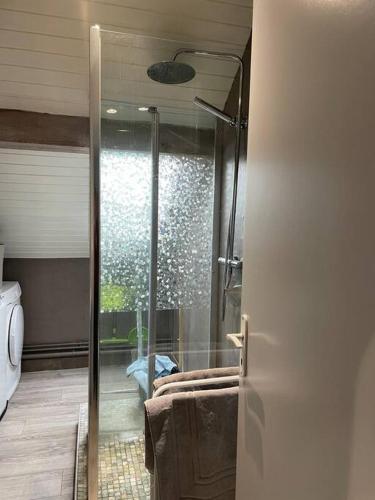une douche avec une porte vitrée dans une salle de bain dans l'établissement Loft avec jardin, à Corcieux