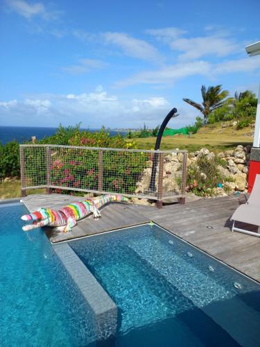 בריכת השחייה שנמצאת ב-CALYPSO או באזור