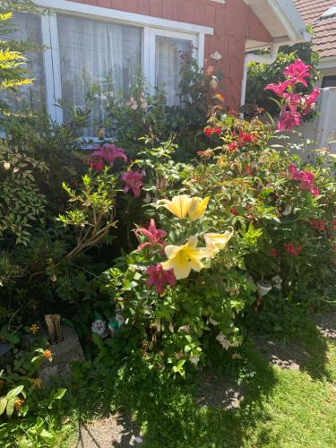 a garden of flowers in front of a house at Cabanas Klenner in Puerto Varas