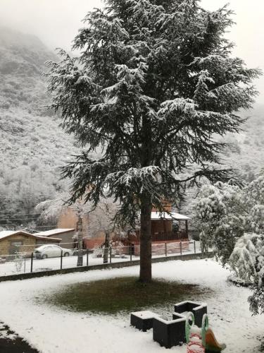 a snow covered tree with benches under it at appartement à Tarascon sur Ariège le Sabart in Tarascon-sur-Ariège
