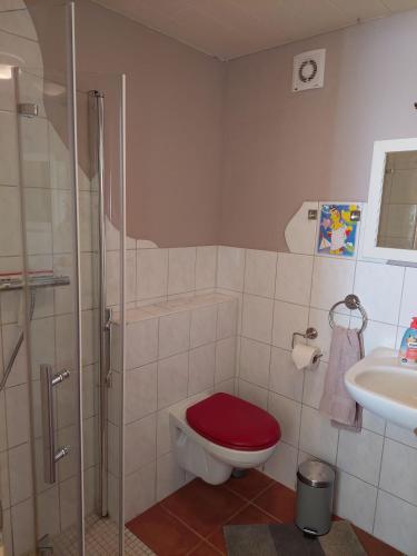 a bathroom with a red toilet and a sink at Urlaub an der Grenze in Lauterbach