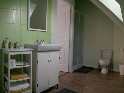 a bathroom with a sink and a toilet at Le Presbytère de Vieuvy in Vieuvy