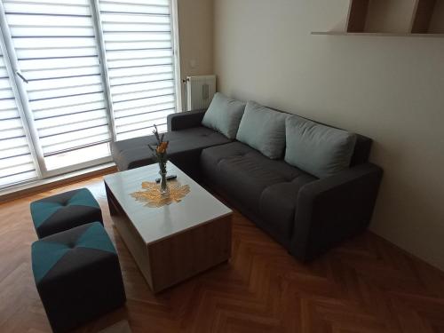 een woonkamer met een bank en een salontafel bij Apartman STANKOVIĆ in Veliko Gradište