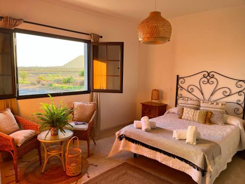 1 dormitorio con cama y ventana grande en Tranquila casa rural en el centro de Fuerteventura en Valles de Ortega