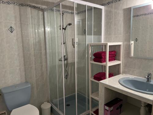 a bathroom with a shower and a toilet and a sink at La Halte Gourmande in Vachères
