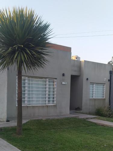 una palmera frente a una casa en La Casa de Vero en Acantilados en Mar del Plata