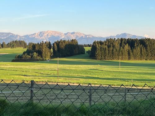 a field with a fence and mountains in the background at Allgäu Pension "Ab in den Süden" in Bernbeuren