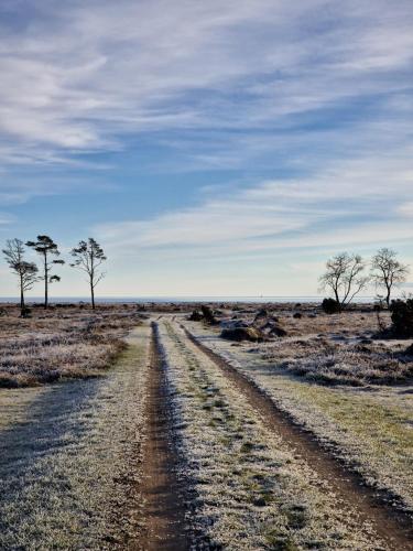 Gallery image of Ronehamn Bed and Breakfast in Hemse