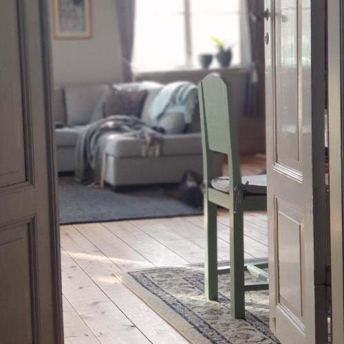 Hemse的住宿－Ronehamn Bed and Breakfast，客厅里一张绿椅,挂在地毯上