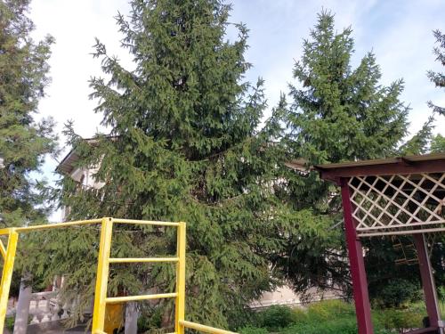 Ο χώρος παιχνιδιού για παιδιά στο Room Hostel Dostyk