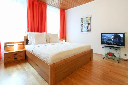 um quarto com uma cama e uma televisão em Classic Apartment I Close to Main Station I 10 Minutes to Belvedere em Viena
