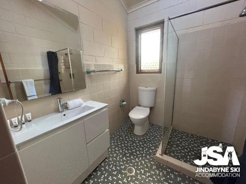 a bathroom with a toilet and a sink and a shower at Moonbah 2 in Jindabyne