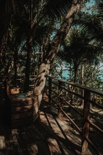 a tree sitting next to a wooden fence at BOA BOA Bacalar in Bacalar