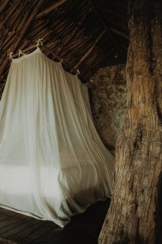 a bed with a white sheet hanging from a tree at BOA BOA Bacalar in Bacalar