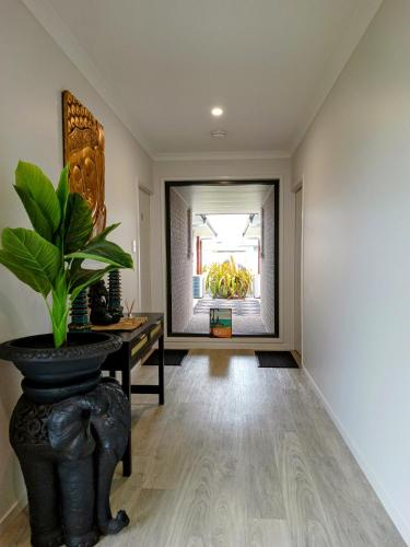 a hallway with a table and a potted plant at Bali Elliott Heads - Coastal Holiday Home near Boat Ramp in Elliott Heads