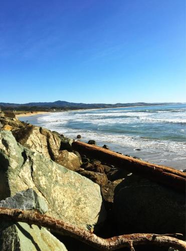 Sea Crest Cocoon – Photos 4