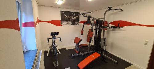 - une salle de sport avec 2 vélos d'exercice dans l'établissement Ferienwohnung Rothen-Adler, à Breitenbrunn/Erzgeb.