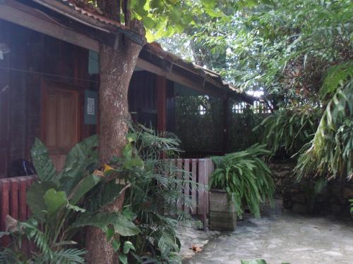 un edificio de madera con un árbol delante de él en Guest house Posada Ixchel, en El Remate