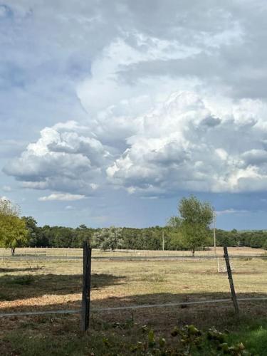 une clôture dans un champ avec un ciel nuageux dans l'établissement Equizen33 maison zen et ressourçante, à Saint-Mariens