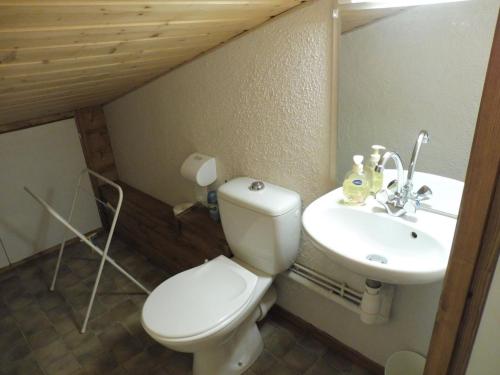 a bathroom with a white toilet and a sink at Appartement duplex cosy, 6 pers, proche pistes, garage privé, Crest-Voland - FR-1-595-73 in Crest-Voland