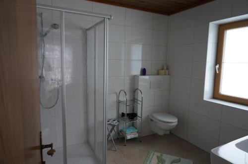 uma casa de banho com um chuveiro e um WC. em Erbhof Innertal em Tux