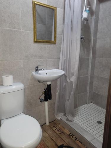 a bathroom with a toilet and a sink and a shower at ALBATROSSWAYS LODGE in Sandton
