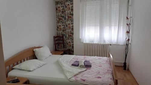 a bedroom with a bed and a window at Hotel Konaciste Trstenik in Trstenik