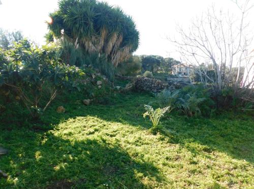 Gallery image of Adonino Residence-The House of Pomegranates in Lakithra