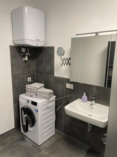 a bathroom with a washing machine and a sink at Ferienhof Elbaue in Schönebeck