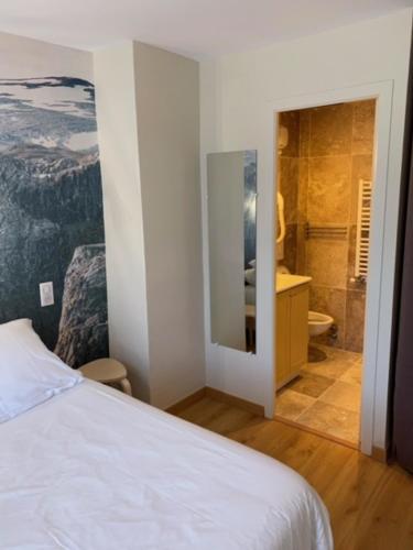 une chambre avec un lit et une salle de bain avec douche dans l'établissement Maison Ardiden, à Luz-Saint-Sauveur