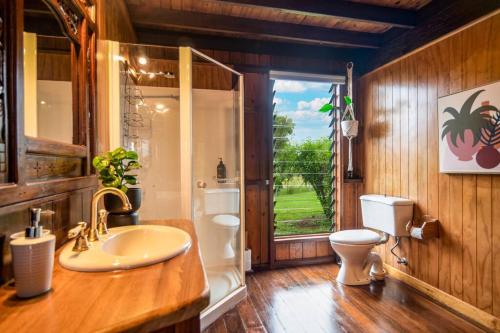 JagganTreetops Sanctuary - Luxury Treehouse pole home的带水槽、马桶和窗户的浴室