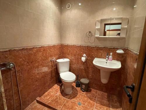 a bathroom with a toilet and a sink at Bar & Guests room ELA in Dolen Bliznak