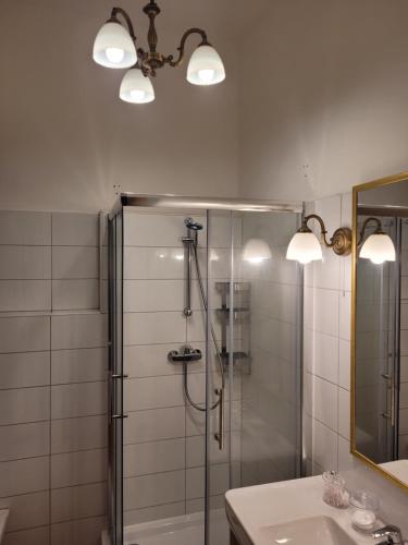W łazience znajduje się prysznic i umywalka. w obiekcie Liszt Studio w Budapeszcie
